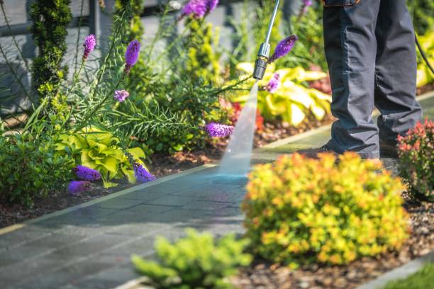 Best Building Exterior Pressure Washing in Henderson, TN